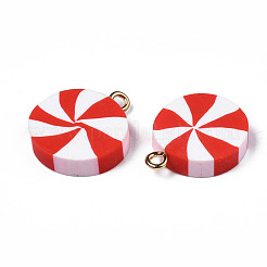 Handmade Polymer Clay Pendants&nbsp;CLAY-N010-054B