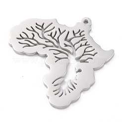 Tarnish Resistant 304 Stainless Steel Pendants&nbsp;STAS-P281-01P