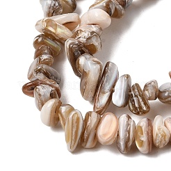 Natural Freshwater Shell Beads Strands&nbsp;SHEL-A006-05