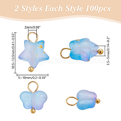 Frosted Acrylic Charms&nbsp;PALLOY-AR00037