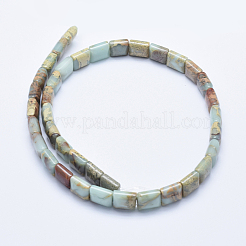Natural Aqua Terra Jasper Beads Strands&nbsp;G-E444-19