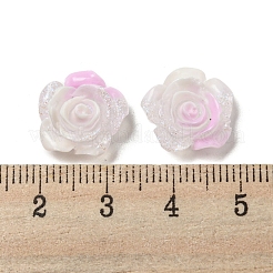 Luminous Transparent Resin Decoden Cabochons&nbsp;RESI-D013-06E