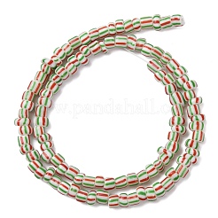Handmade Lampwork Beads Strands&nbsp;BLOW-K001-01B-01