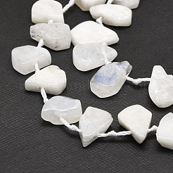Natural Rainbow Moonstone Beads Strands&nbsp;G-E569-R01