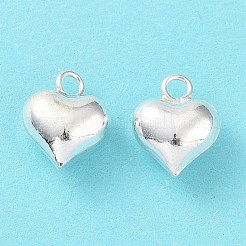 925 Sterling Silver Charms&nbsp;X-STER-H106-01A-S