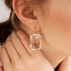 Rectangle Alloy Cubic Zirconia Dangle Earrings&nbsp;FS-WGB3F13-05