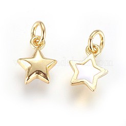 Enamel Brass Charms&nbsp;KK-G364-18G-01