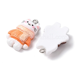 Opaque Resin Pendants&nbsp;RESI-K051-01