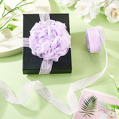 Polyester Crumpled Ribbon&nbsp;OCOR-TAC0035-12H