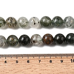 Natural Gemstone Beads Strands&nbsp;G-D359-B02-10mm