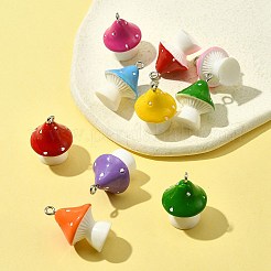 10Pcs Opaque Resin Pendants&nbsp;RESI-FS0001-61
