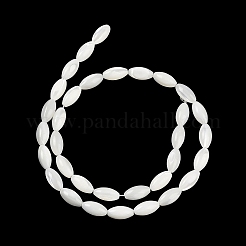 Natural Trochus Shell Beads Strands&nbsp;BSHE-G036-06B