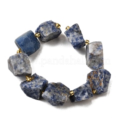 Raw Rough Natural Blue Spot Jasper Beads Strands&nbsp;G-Z087-B01