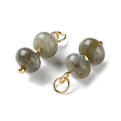 Natural Labradorite Rondelle Beaded Pendants&nbsp;STAS-C120-03G-01
