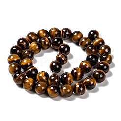 Natural Tiger Eye Round Bead Strands&nbsp;G-P072-33-10mm