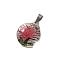 5Pcs Dried Flower Glass Pendants, Flat Round, Crimson, 32x20mm