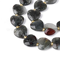 Natural African Bloodstone Beads Strands&nbsp;G-P592-B07-01