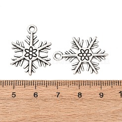 Tibetan Style Alloy Pendants&nbsp;TIBEP-3264-AS-RS