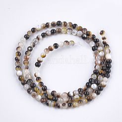 Black Lip Shell Beads Strands&nbsp;SHEL-S274-92A