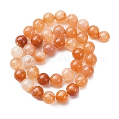 Natural Red Agate Beads Strands&nbsp;G-R015-B02-10mm