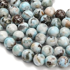 Natural Larimar Beads Strands&nbsp;G-L642-B19-10mm