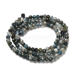 Natural Apatite Beads Strands&nbsp;G-RM2025-A18-3mm-B