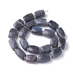 Natural Labradorite Beads Strands&nbsp;G-L499-01