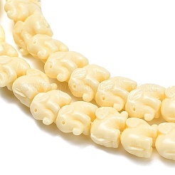 Synthetic Coral Dyed Carved Bead&nbsp;BSHE-H114-04E
