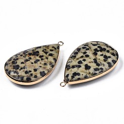 Natural Dalmatian Jasper Pendants&nbsp;G-N326-108B