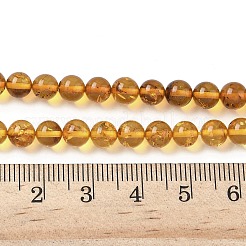 Natural Amber Beads Strands&nbsp;G-L095-B01-6mm-02