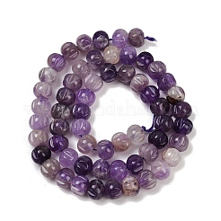Natural Amethyst Beads Strands&nbsp;G-Z080-B04-8x6mm