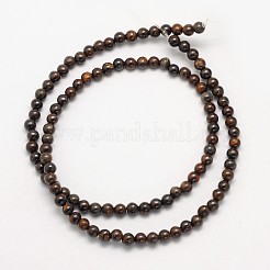 Natural Bronzite Round Beads Strands&nbsp;G-N0166-32-4mm