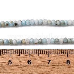 Natural Larimar Beads Strands&nbsp;G-F803-B01-01