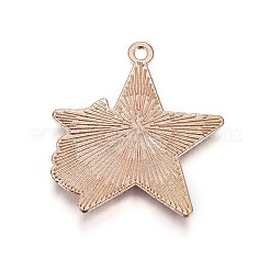 Zinc Alloy Pendants&nbsp;ENAM-P164-11A