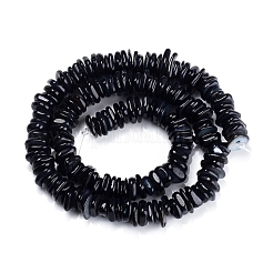 Natural Freshwater Shell Beads Strands&nbsp;X-SHEL-D078-01A
