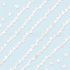 3 Strands Natural Freshwater Shell Beads Strands&nbsp;SHEL-LT0001-02