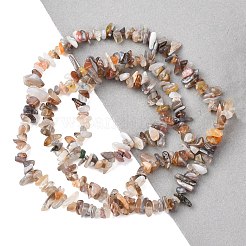Natural Botswana Agate Beads Strands&nbsp;G-I283-A05-01
