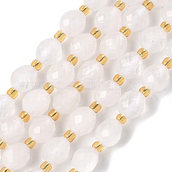 Natural Quartz Crystal Beads Strands&nbsp;G-F809-A01-01B