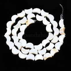 Natural Freshwater Shell Beads Strands&nbsp;X-SHEL-N026-151