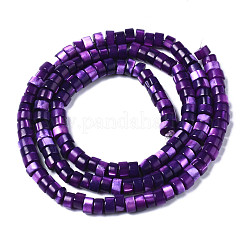 Natural Trochus Shell Beads Strands&nbsp;SHEL-S278-027