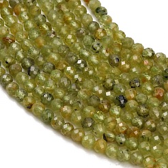 Natural Peridot Beads Strands&nbsp;GG-CBA753B-A04-3mm