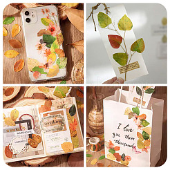 Autumn Leaf Paper Tape Stickers for Card Making&nbsp;DIY-TAC0032-23B