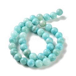 Natural Striped Stone Beads Strands&nbsp;G-B192-B01-10mm