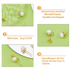5 Pair Natural Pearl Round Stud Earrings Findings&nbsp;KK-HY0001-79