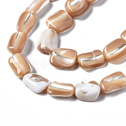 Natural Trochid Shell/Trochus Shell Beads Strands&nbsp;SSHEL-S266-014B