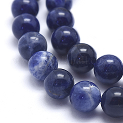 Natural Sodalite Beads Strands&nbsp;G-K224-01-8mm