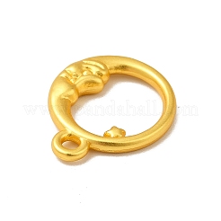 Rack Plating Alloy Pendants&nbsp;PALLOY-K255-01MG