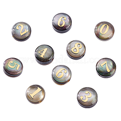 10Pcs 10 Styles Natural Black Lip Shell Flat Round Beads&nbsp;BSHE-PH0001-61