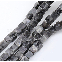 Natural Larvikite Beads Strands&nbsp;G-G002-A08
