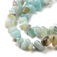 Natural Flower Amazonite Chips Beads Strands&nbsp;X-G-M205-12B